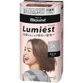 Kao Blaune Lumiest Hair Color For Gray Hair - Harajuku Culture Japan - Japanease Products Store Beauty and Stationery