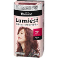 Kao Blaune Lumiest Hair Color For Gray Hair - Harajuku Culture Japan - Japanease Products Store Beauty and Stationery