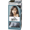 Liese Kao Bubble Hair Color Prettia - Harajuku Culture Japan - Japanease Products Store Beauty and Stationery