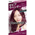 Hoyu Beauteen Makeup Hair Color - Harajuku Culture Japan - Japanease Products Store Beauty and Stationery