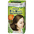 Kao Blaune Fragrance and Gloss Hair Color Cream - Harajuku Culture Japan - Japanease Products Store Beauty and Stationery