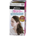 Kao Blaune Bubble Hair Color - Natural Series - Harajuku Culture Japan - Japanease Products Store Beauty and Stationery